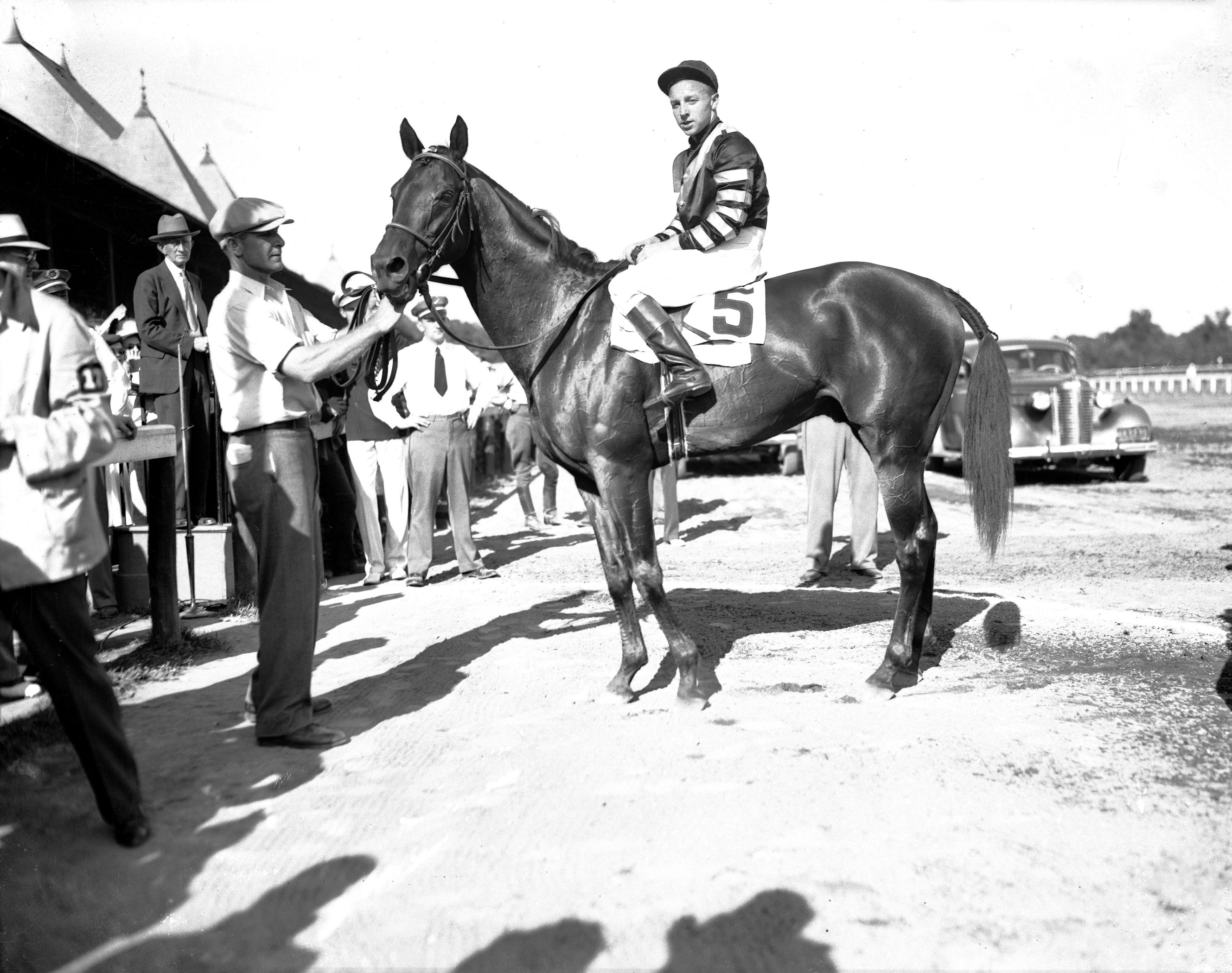 War Admiral (KY) National Museum of Racing and Hall of Fame